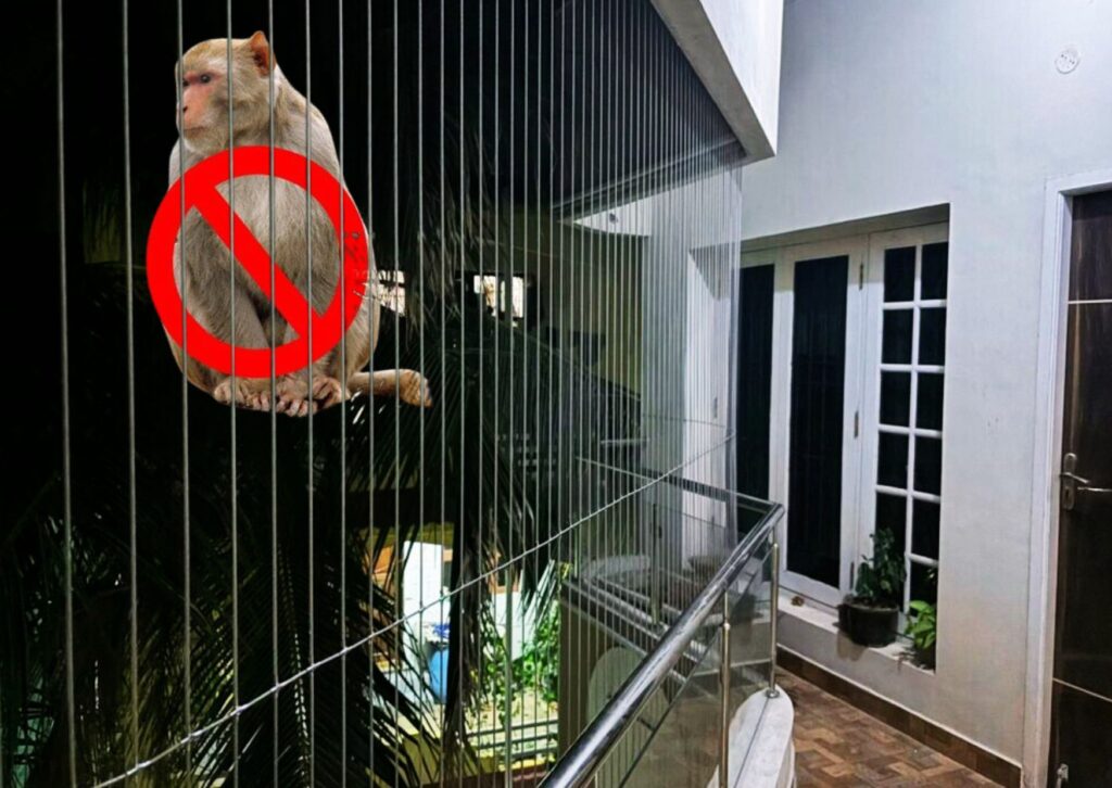 Invisible Grills for Monkeys Control best invisible grills for monkey protection in apartments